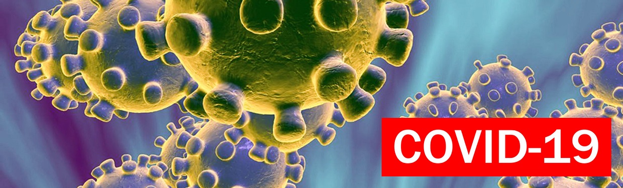 coronavirus v3